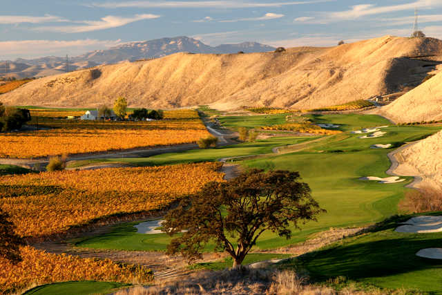 Wente