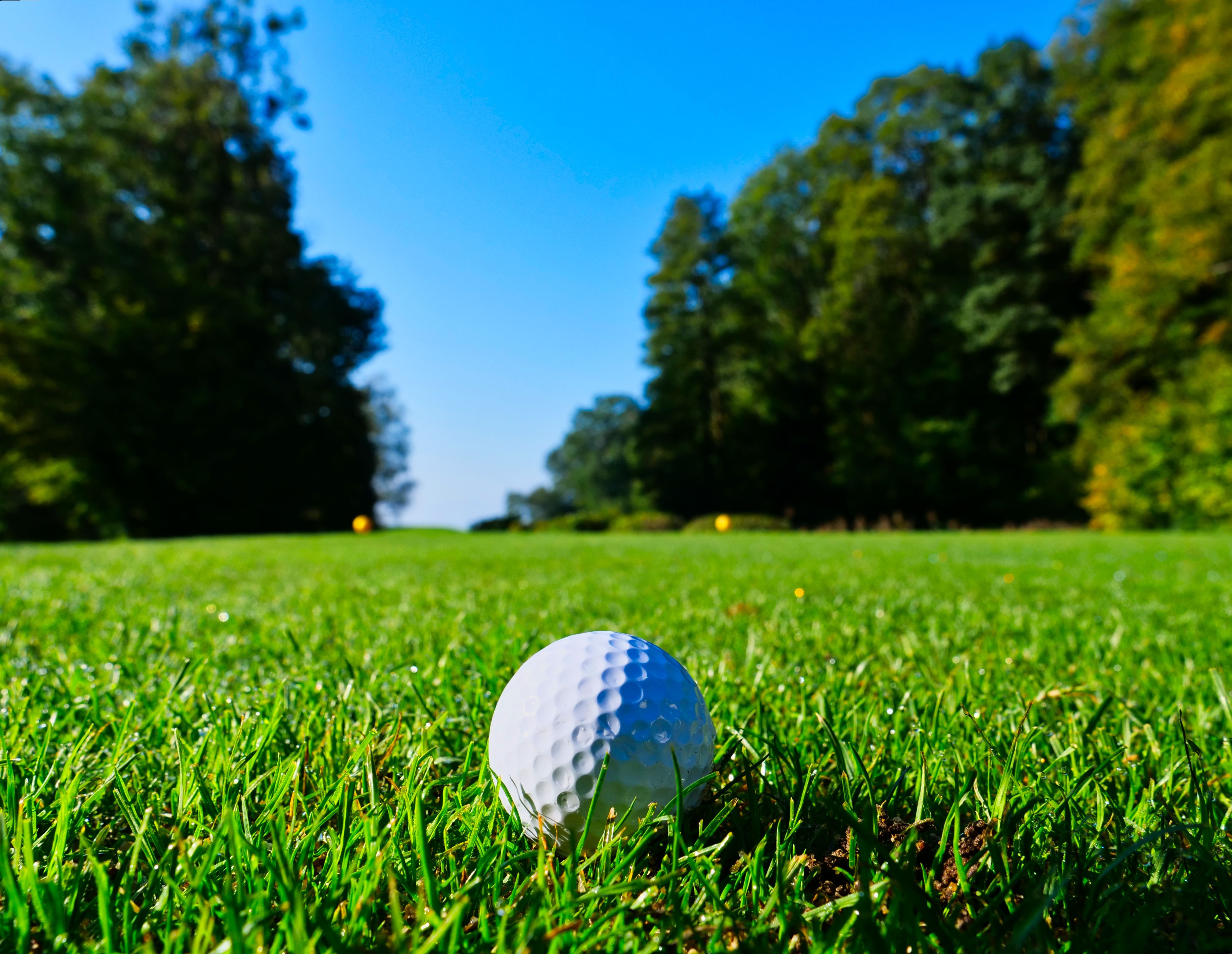ludwig-schreier-ufcDM0ApEBs-unsplash Golf Ball
